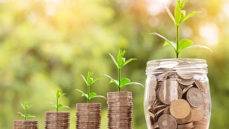 You are currently viewing Loi sur le partage de la valeur de l’entreprise : quid sur le pouvoir d’achat ? quels moyens d’action des représentants du personnel ?